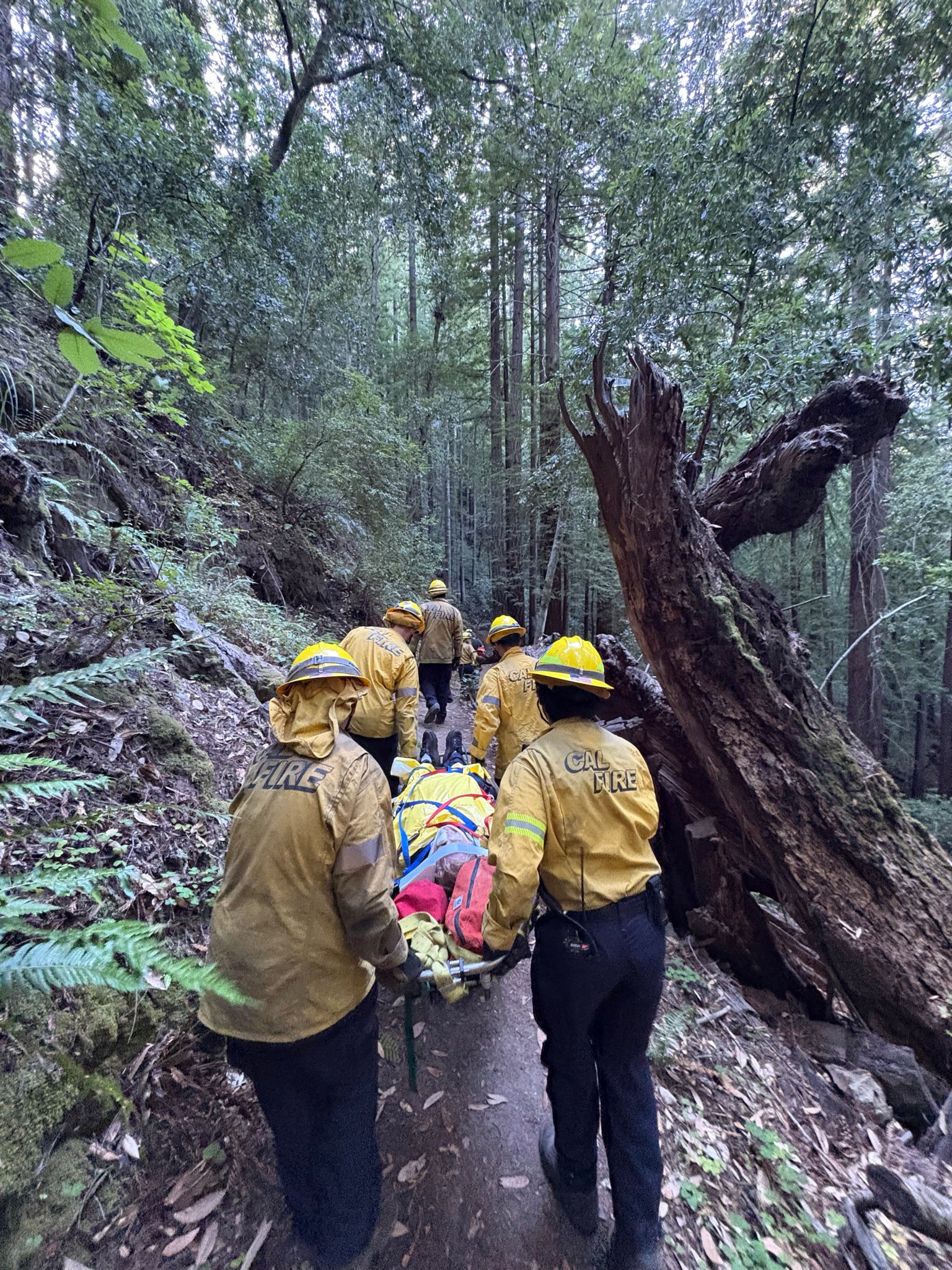 Hiker rescued after falling off trail at park in San Mateo County