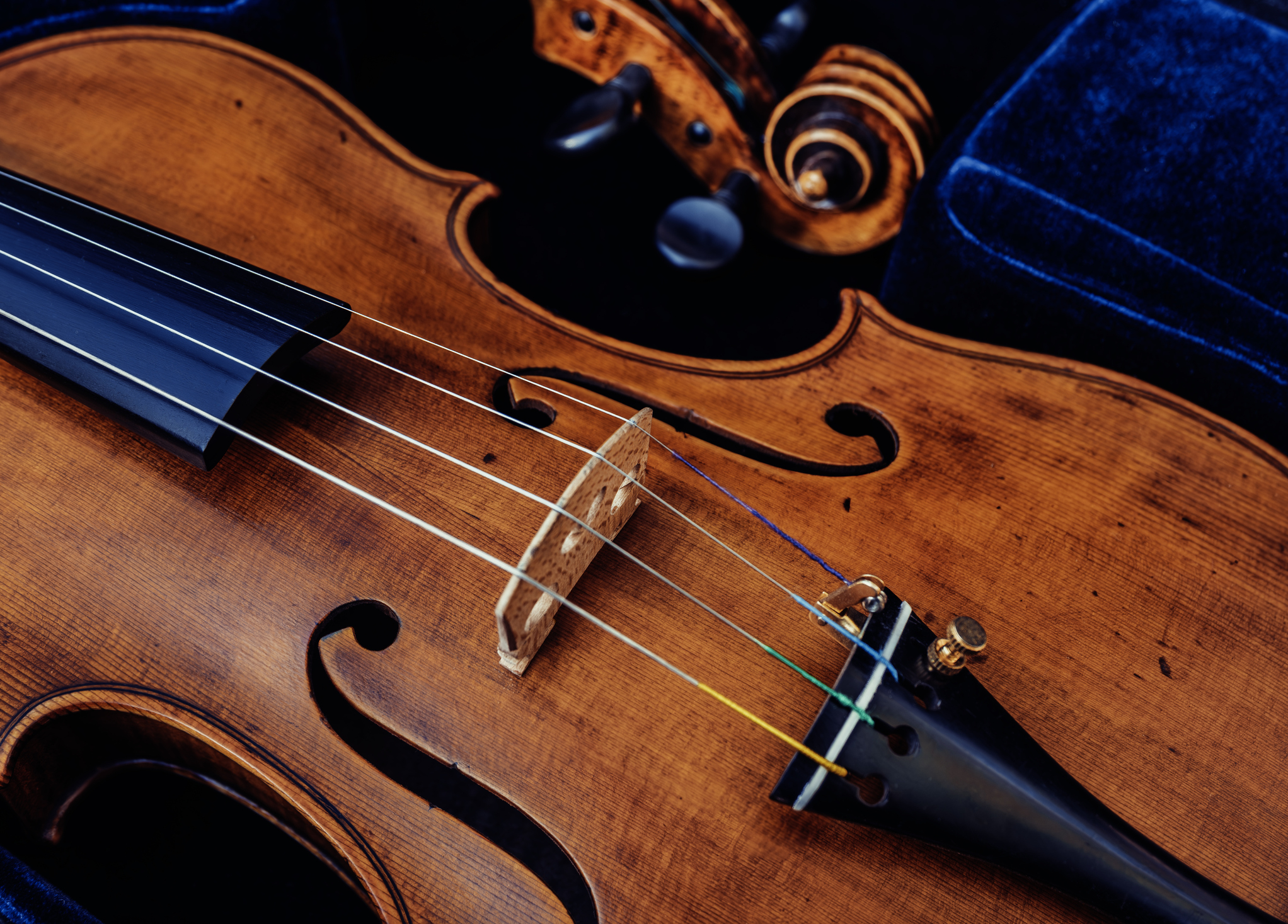 Benzie Area Symphony Orchestra to perform free children's concert