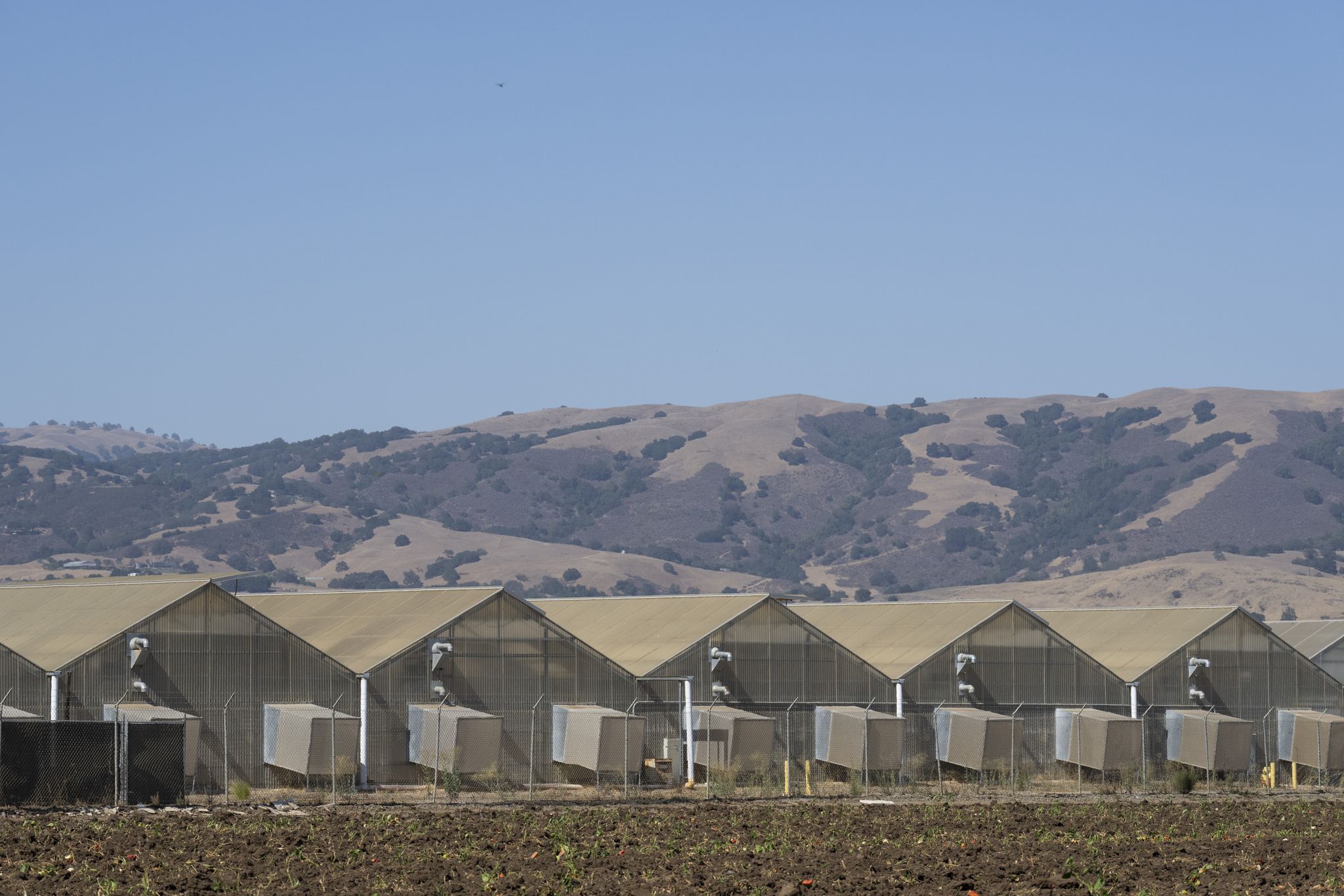 sfchronicle.com - Sara DiNatale - Federal judge blocks construction of ICE detention center near Gilroy