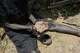 A rainmaker from a village in the Lopit Mountains shows sacred stones used in rainmaking rituals, South Sudan, Thursday, July 24, 2025.