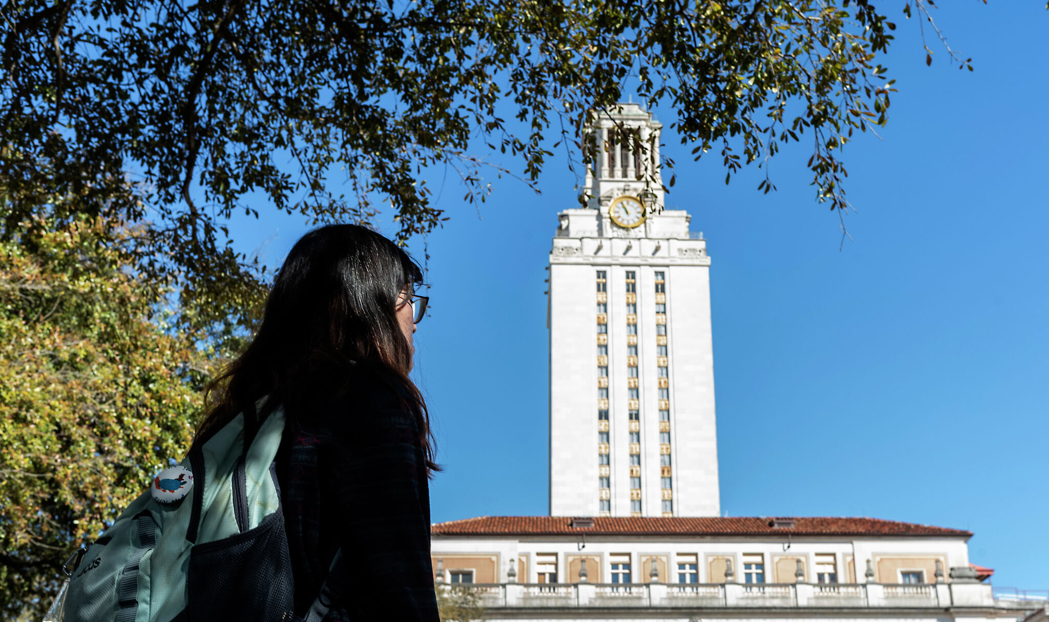Ideological Capture Concerns at University of Texas at Austin