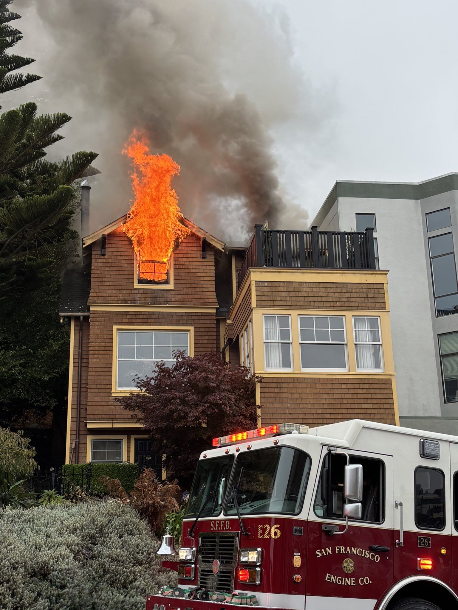 3 people and a dog displaced by SF house fire