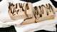 Fernie’s Frozen Espresso-tini Bar is a great price: $7.