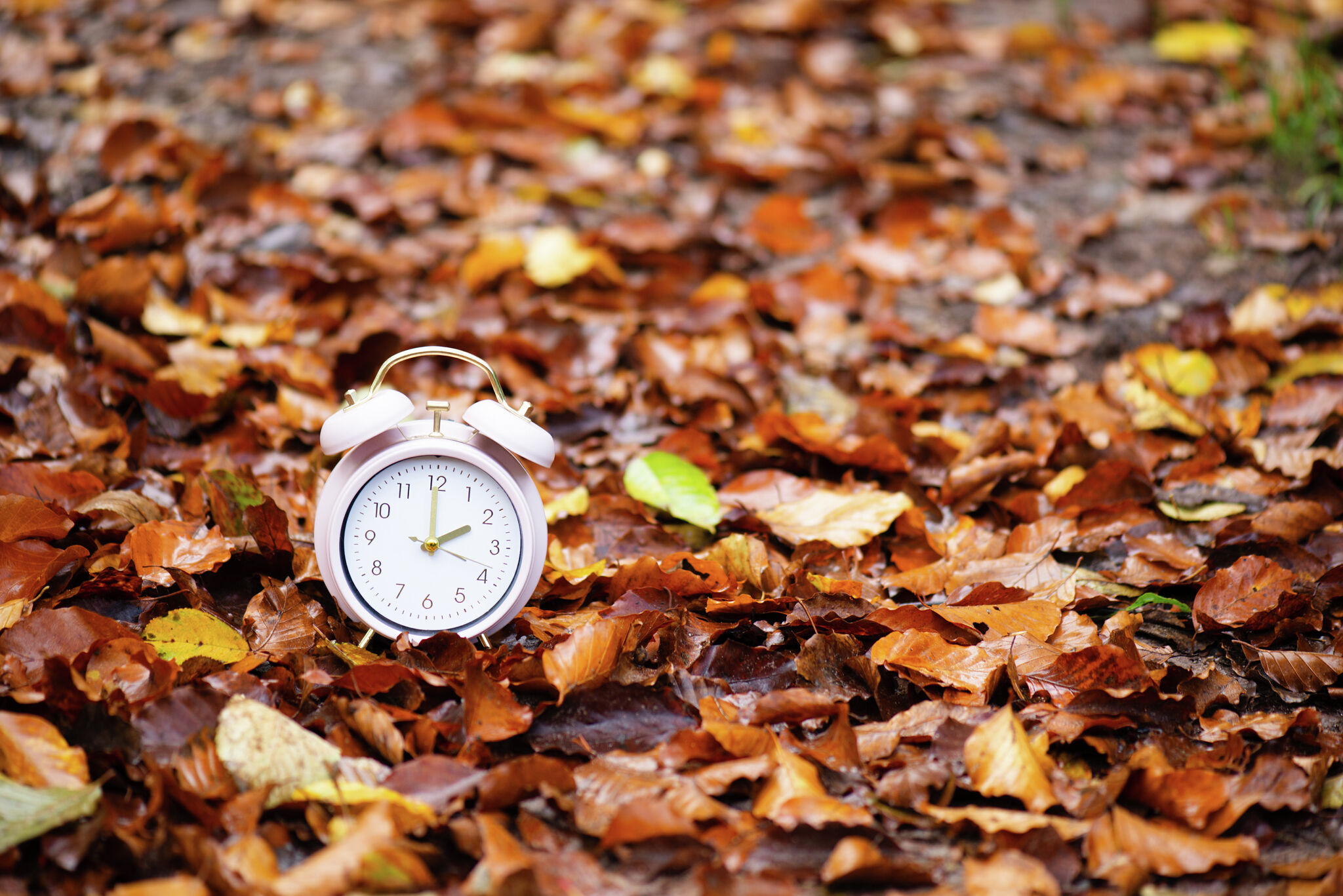 THURSDAY VOLLEYBALL: Addie Jeffery powers CM past rival Jersey