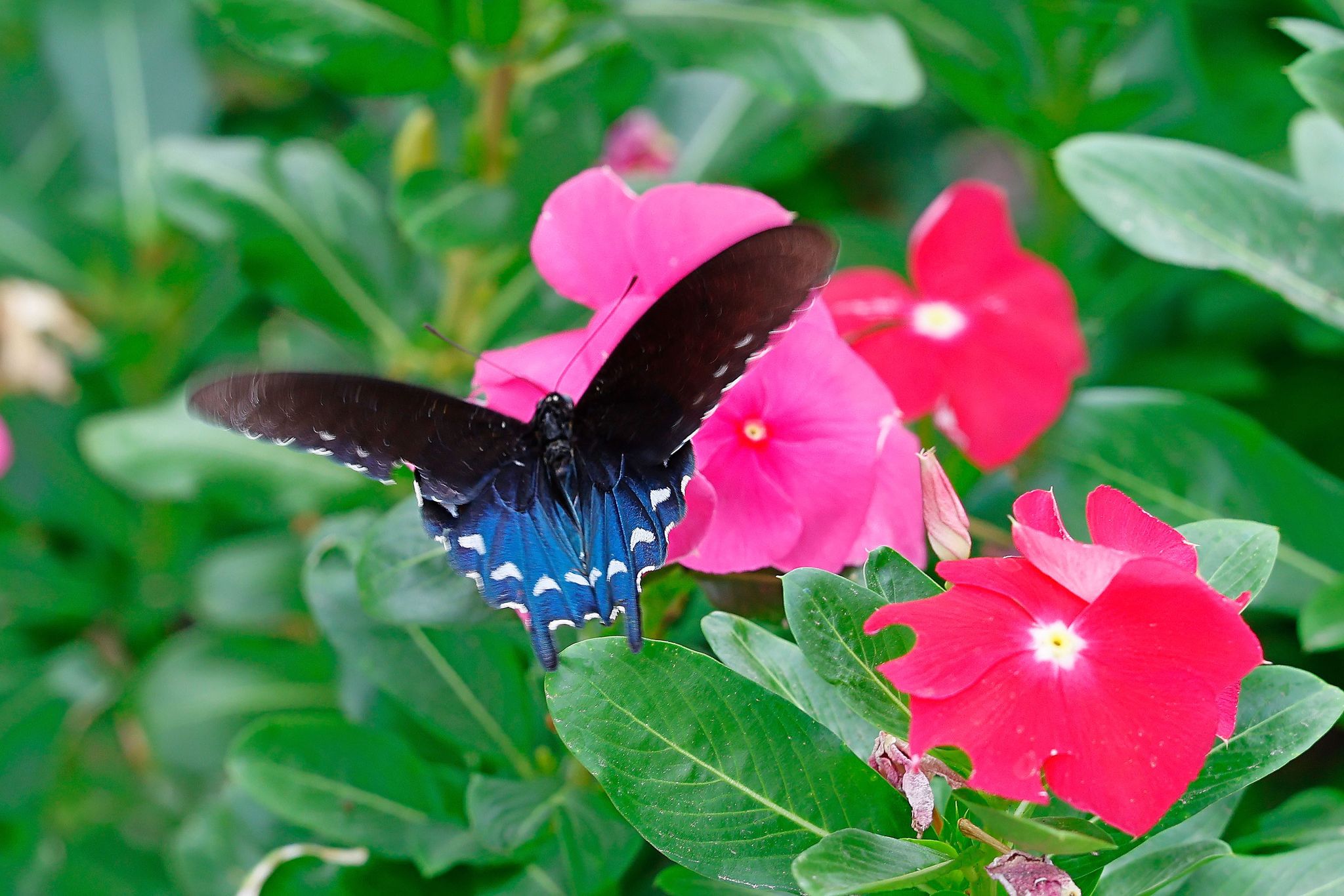 https://s.hdnux.com/photos/01/67/37/47/31324657/3/rawImage.jpg