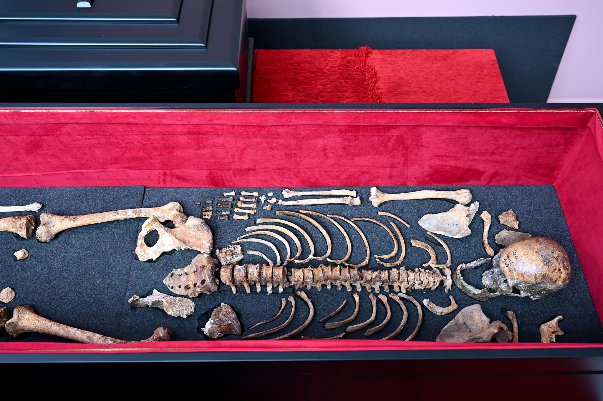 Remains of medieval king Czar Samuel arrive in Bulgaria after decades ...