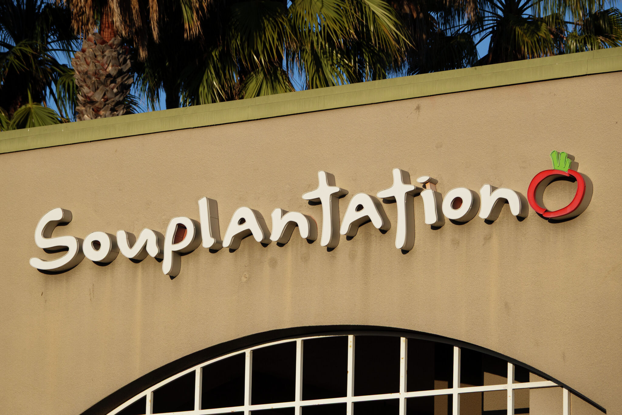Soupplantation 证实了加利福尼亚州的回归。它在哪里？