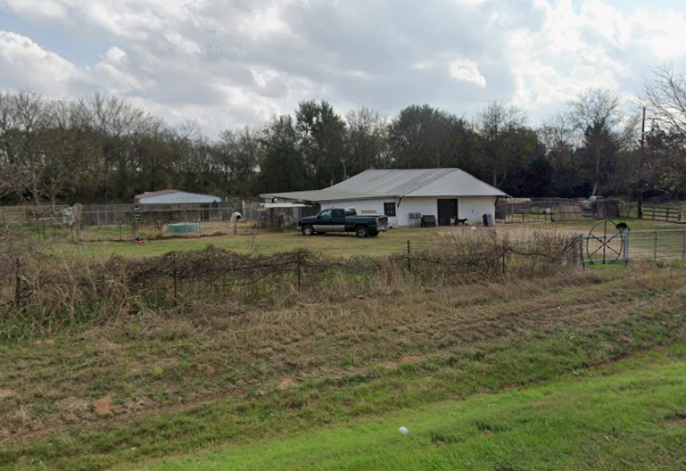 Texas Animal Rescue Closed, 82 Dogs Surrendered After Owner Arrested