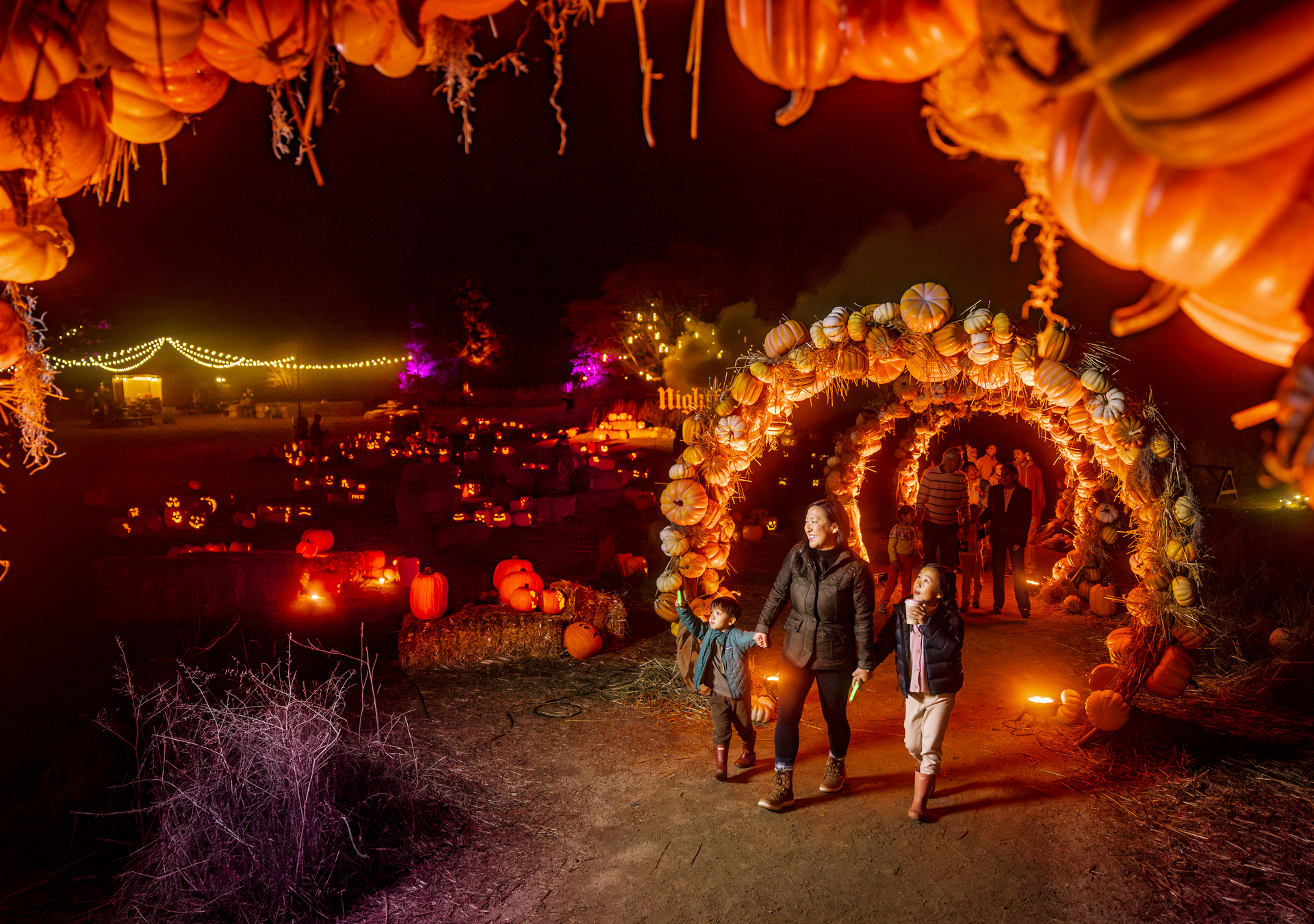 Family-friendly Halloween: Trick-or-treat trails, mad science and spooky Bay Area fun