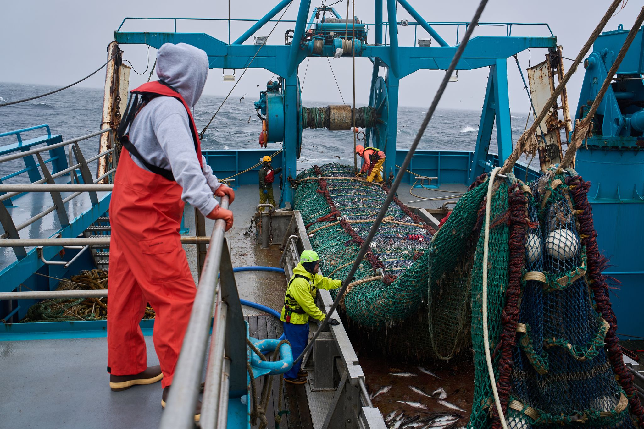 The fish behind America's fish sticks is fueling a fight over trawling in Alaska