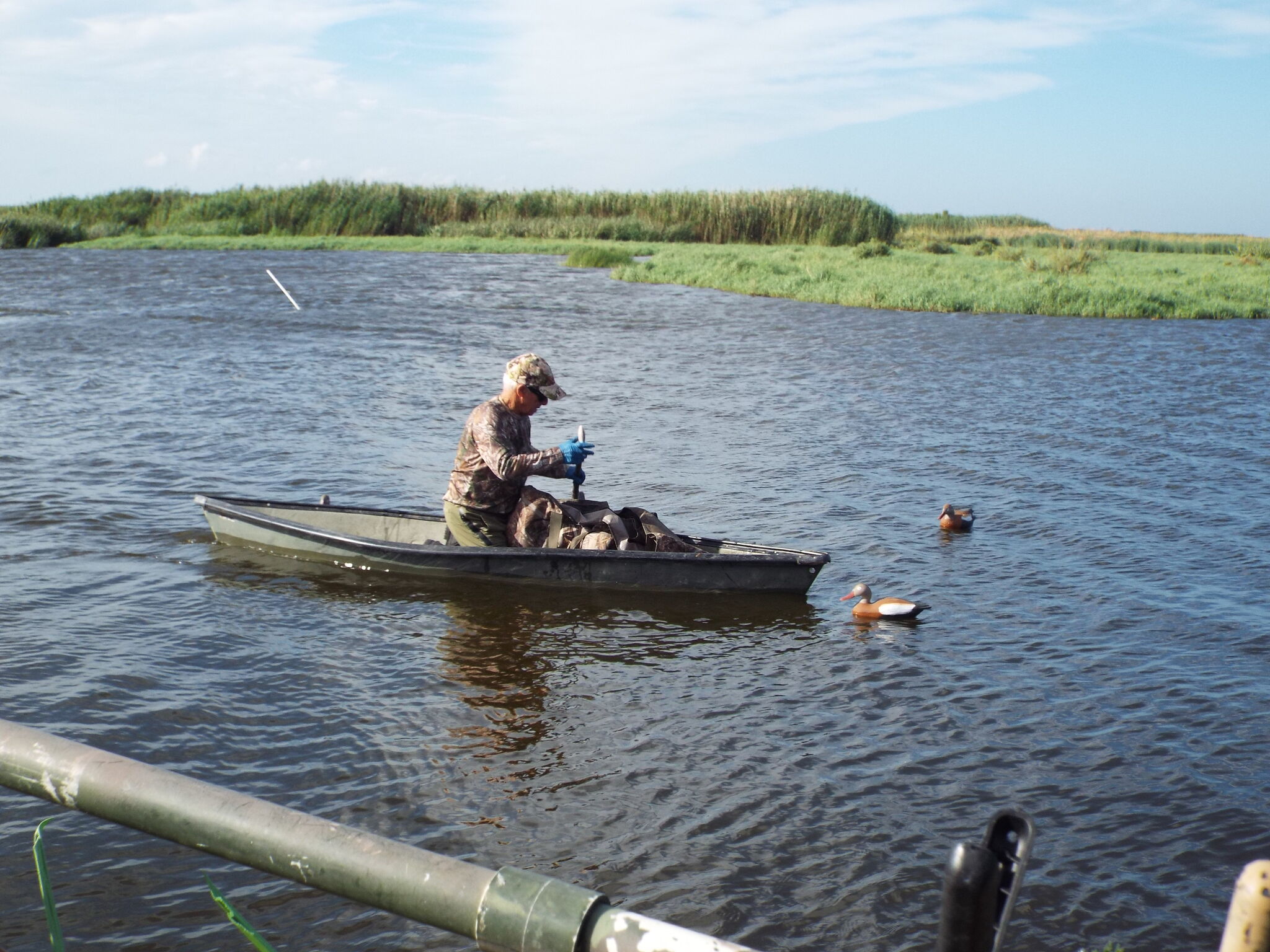 Inside Louisiana's experimental black-bellied whistling duck season