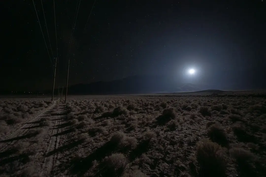 Search team tested lights
