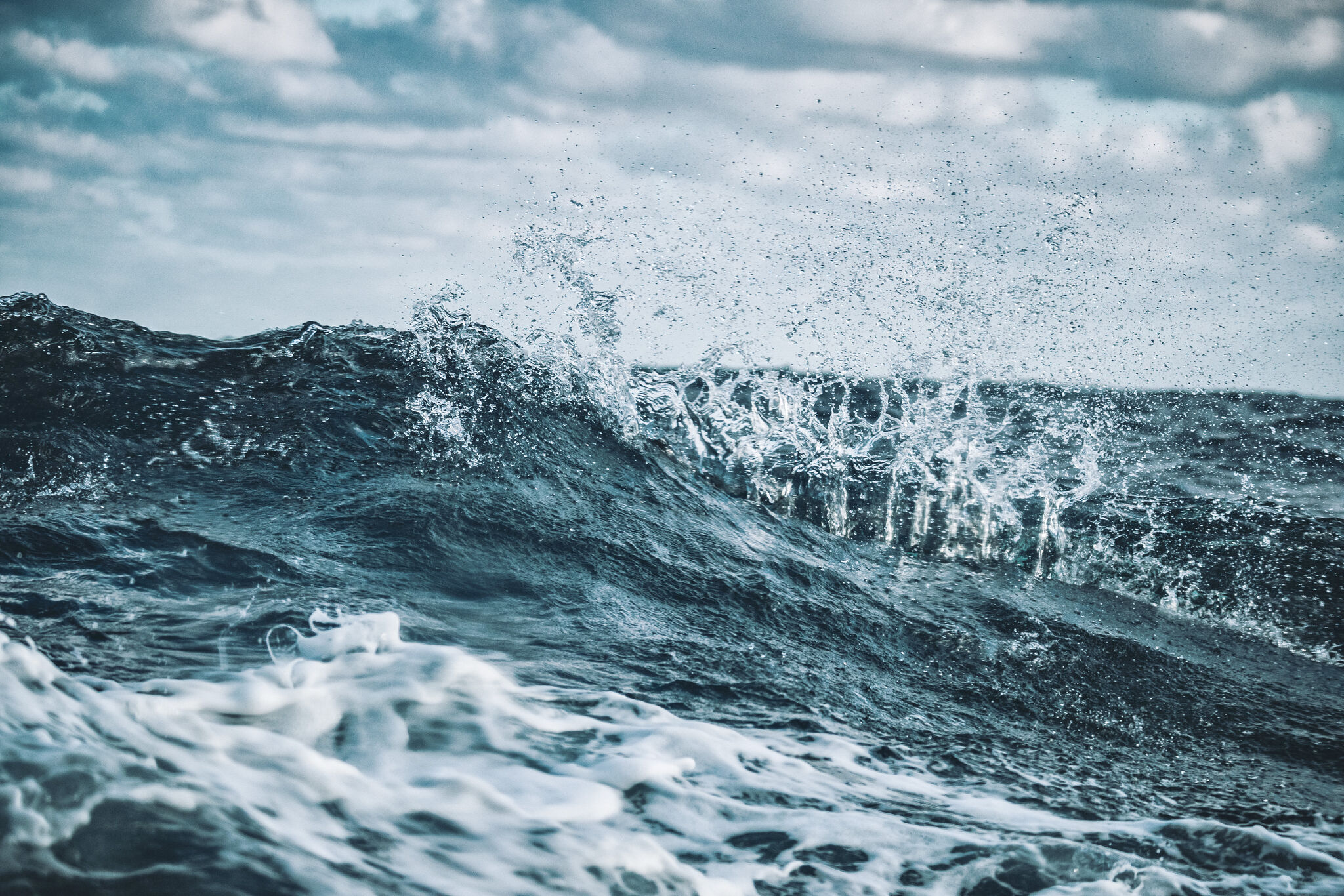 To Waver Image A planetary wave just crept into San Francisco Bay