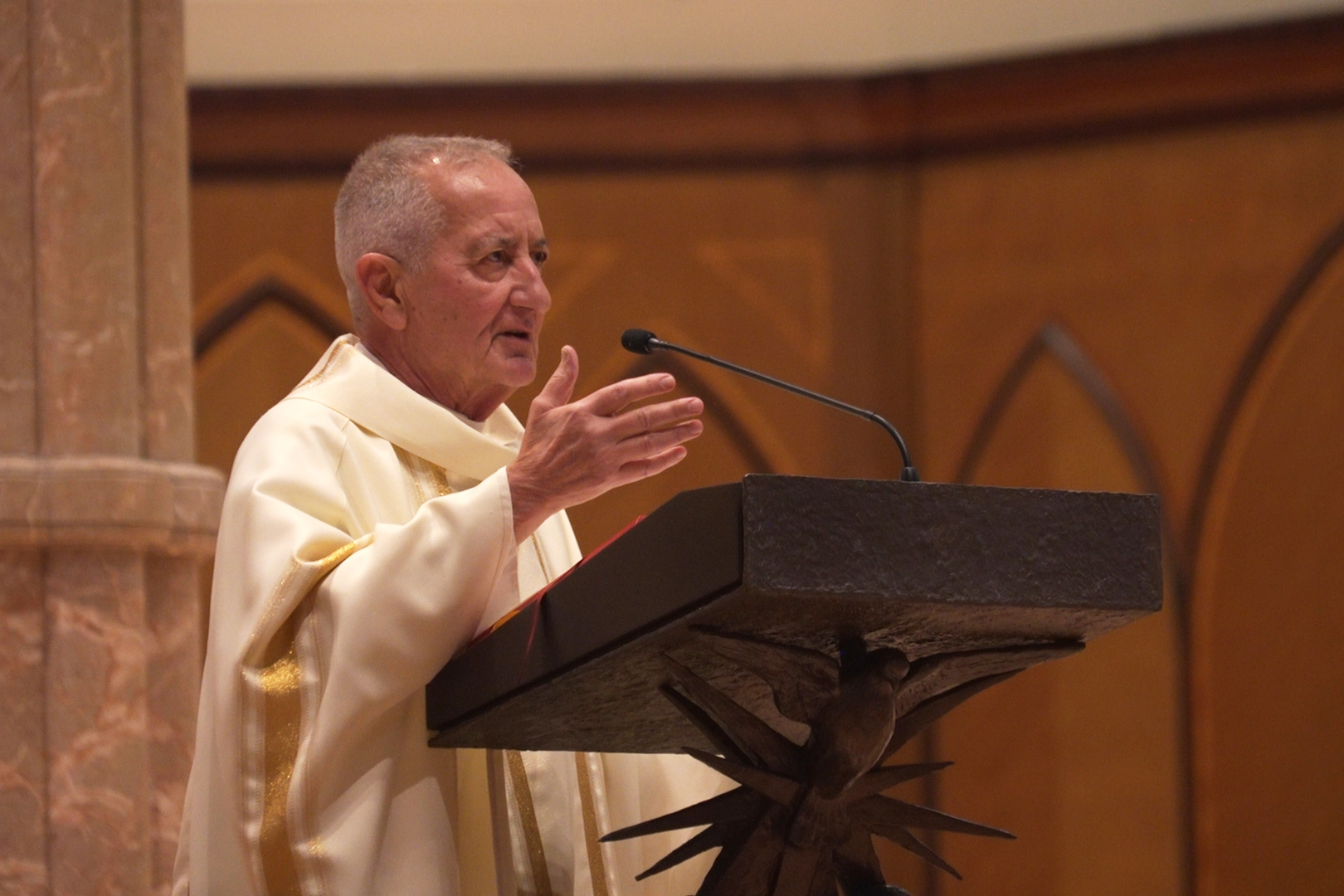Pope Gate Chicago Catholics rally for prayer in Pope Leo’s hometown after his ...