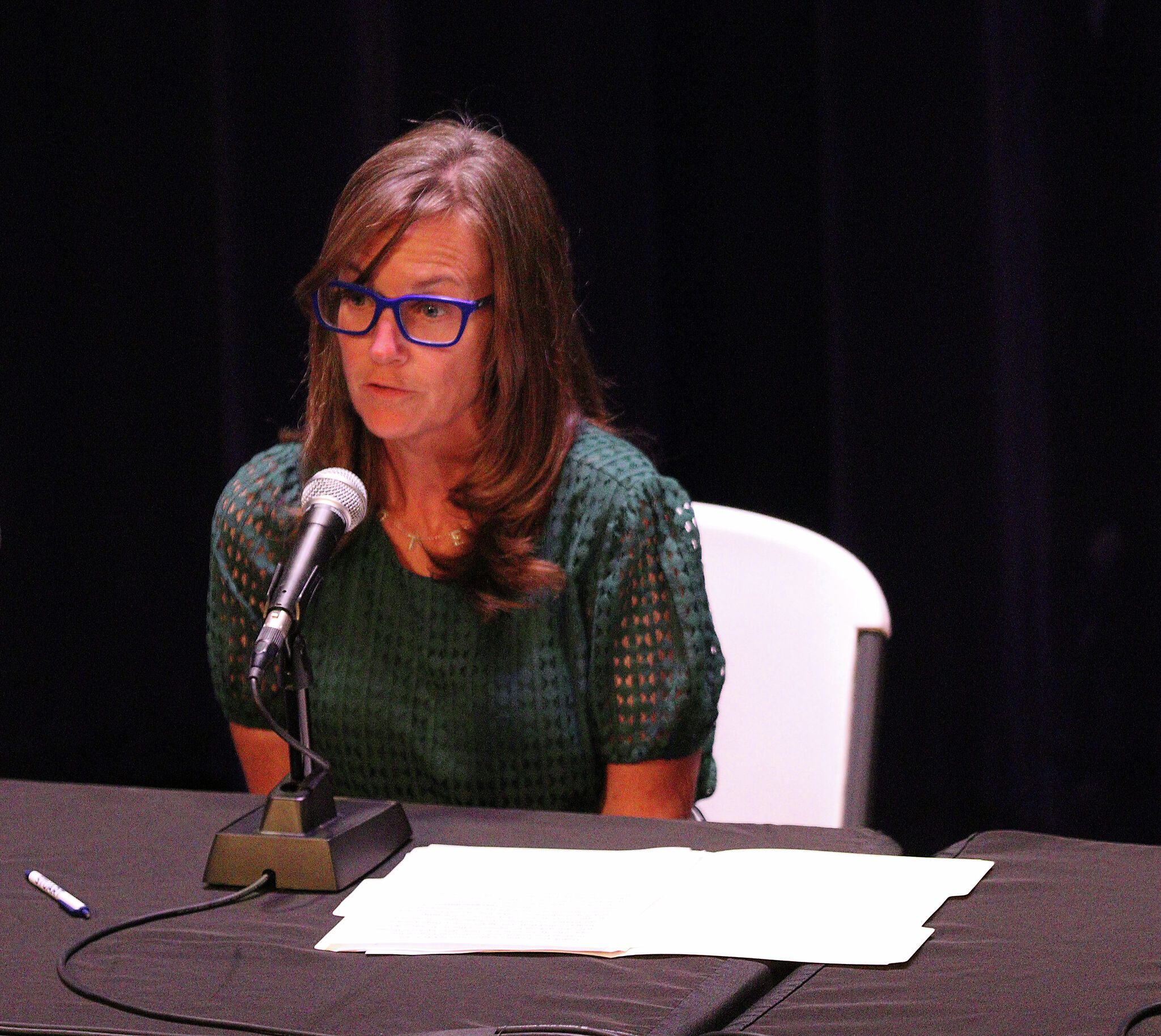 Katie Stuart discusses re-election bid for Illinois House 112th District