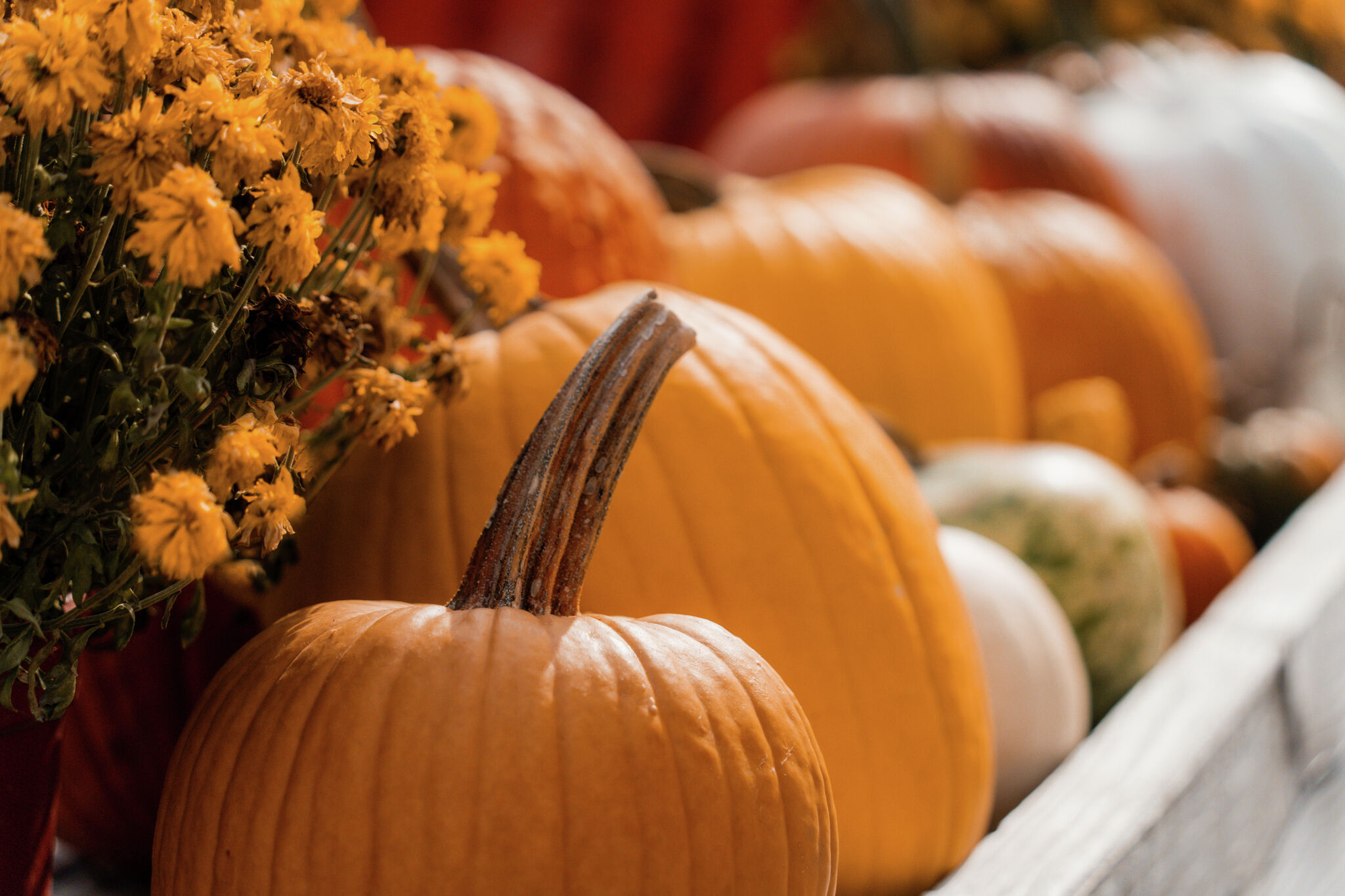 Top Halloween Costume Ideas for 2026, According to Google