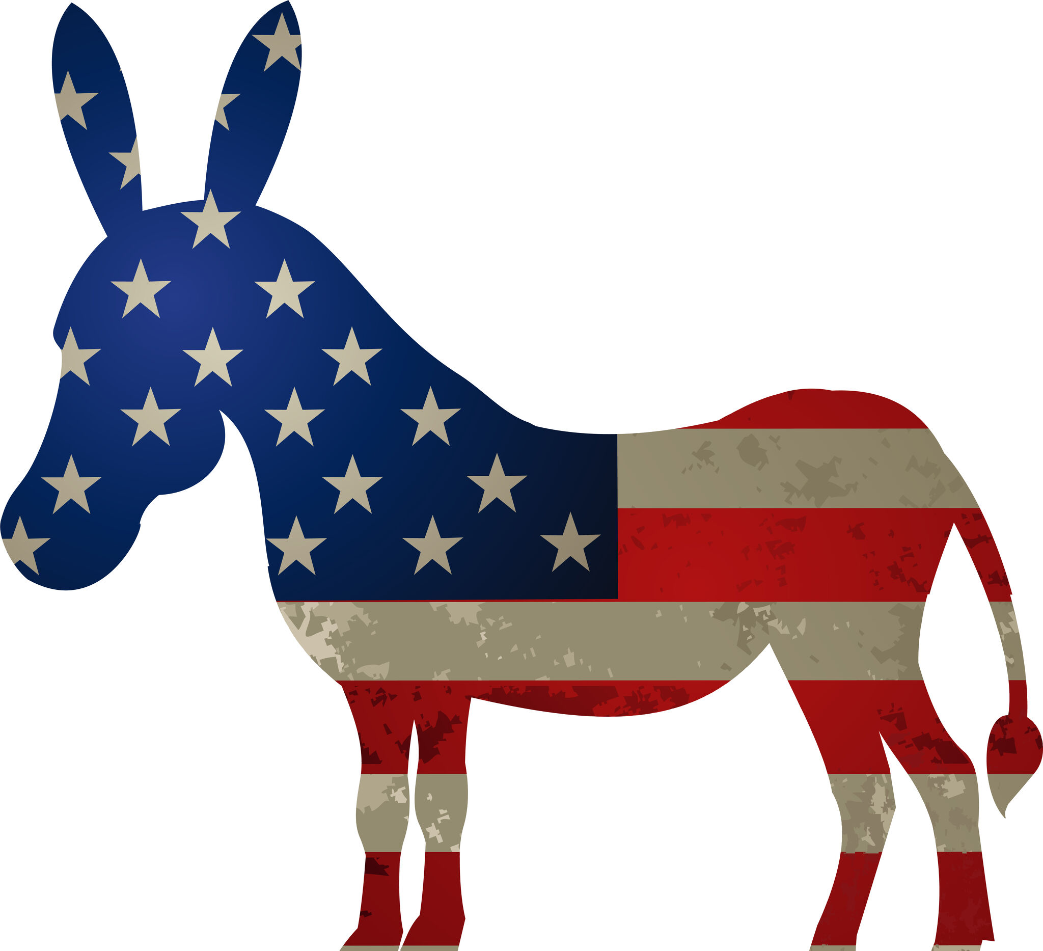 Susan Campbell (opinion): These midterms are no time for a political purity test