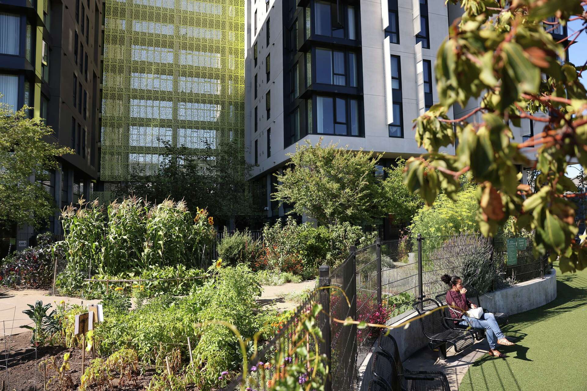 While MEDA, which owns and operates more than 1,000 affordable housing units, reported the employee’s actions to city officials, the controller found that the i