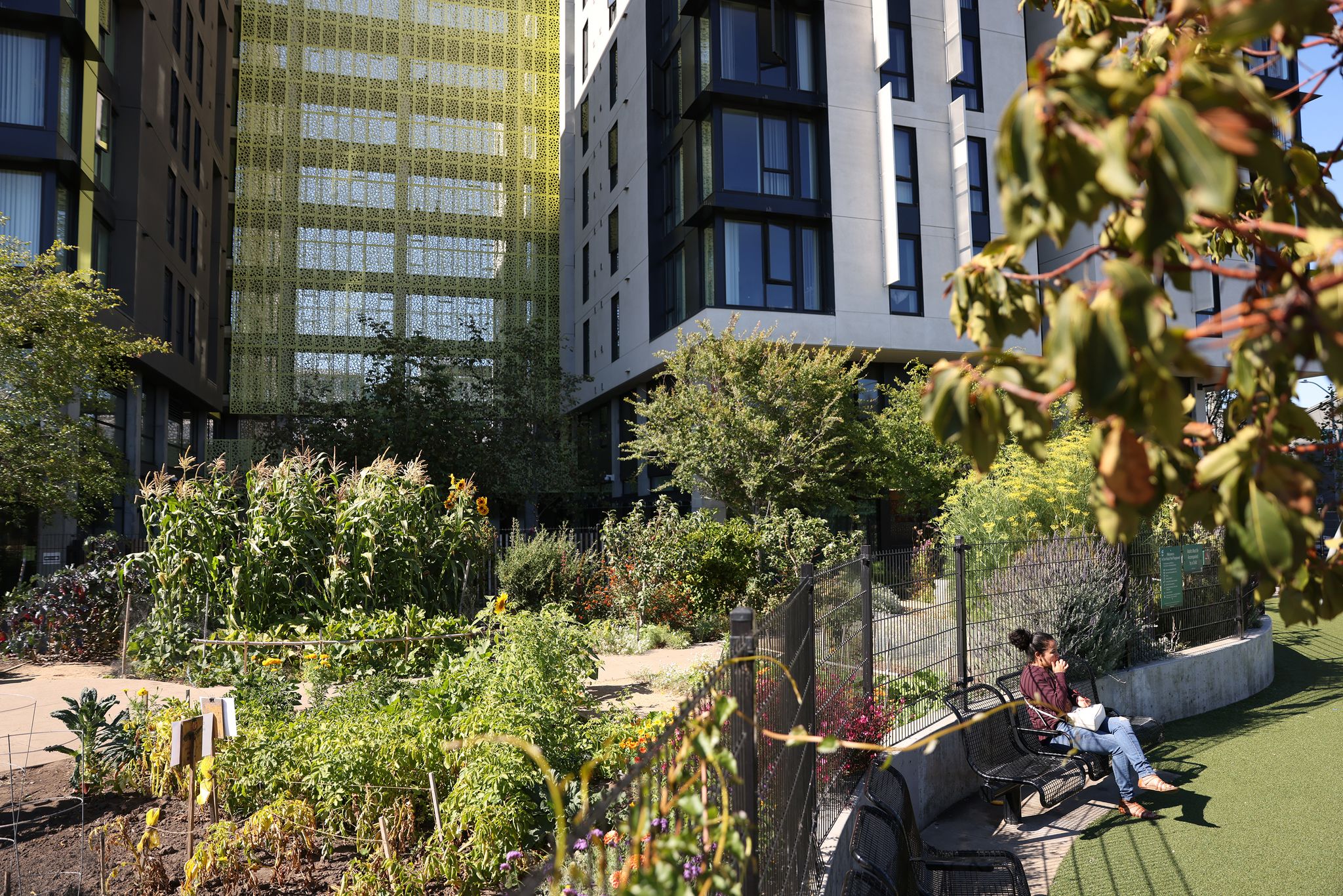 San Francisco housing nonprofit lands on city watch list