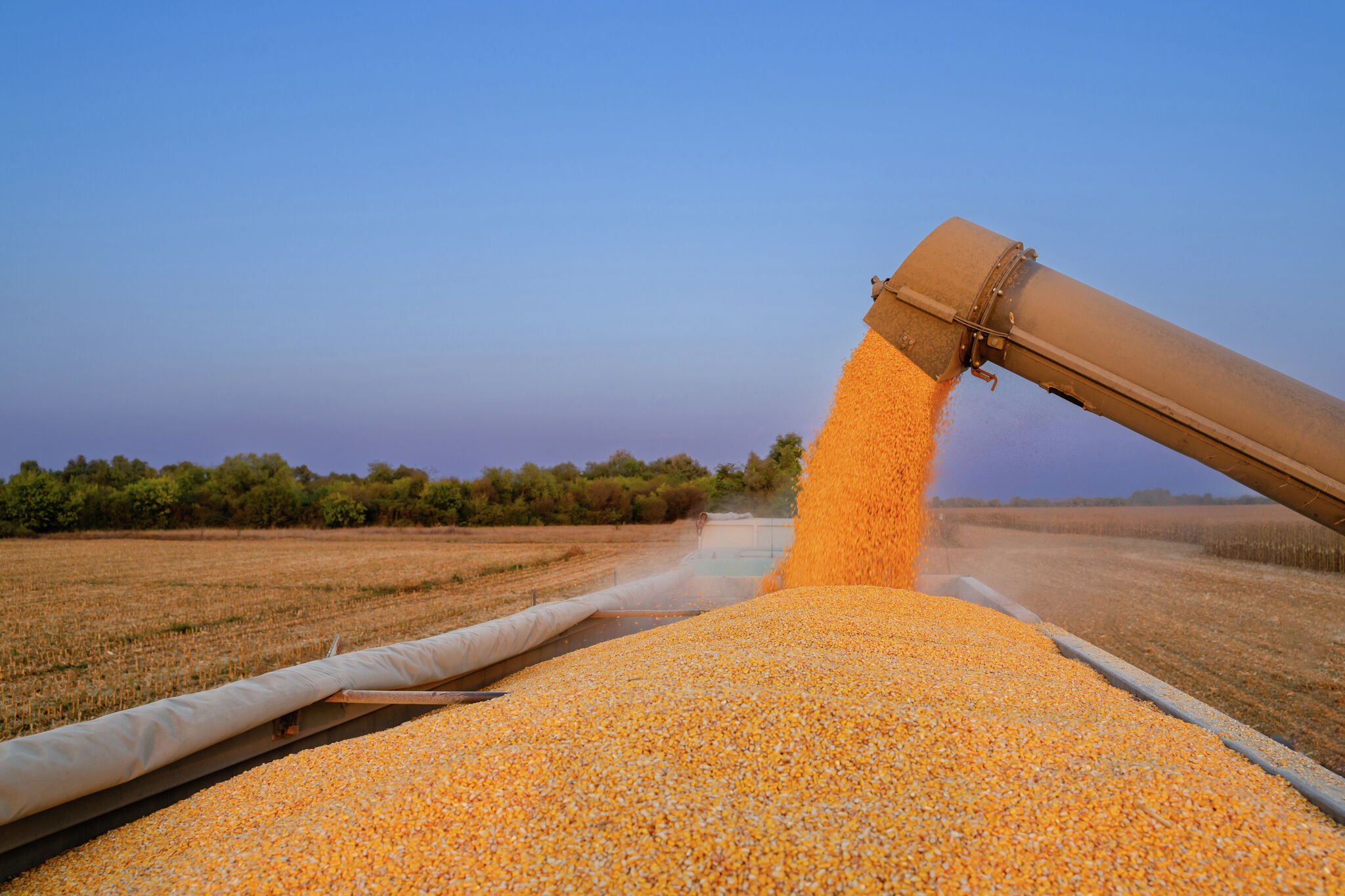 Grain tours result in projected $200 million in grain sales Staff Writer Oct 21, 2026