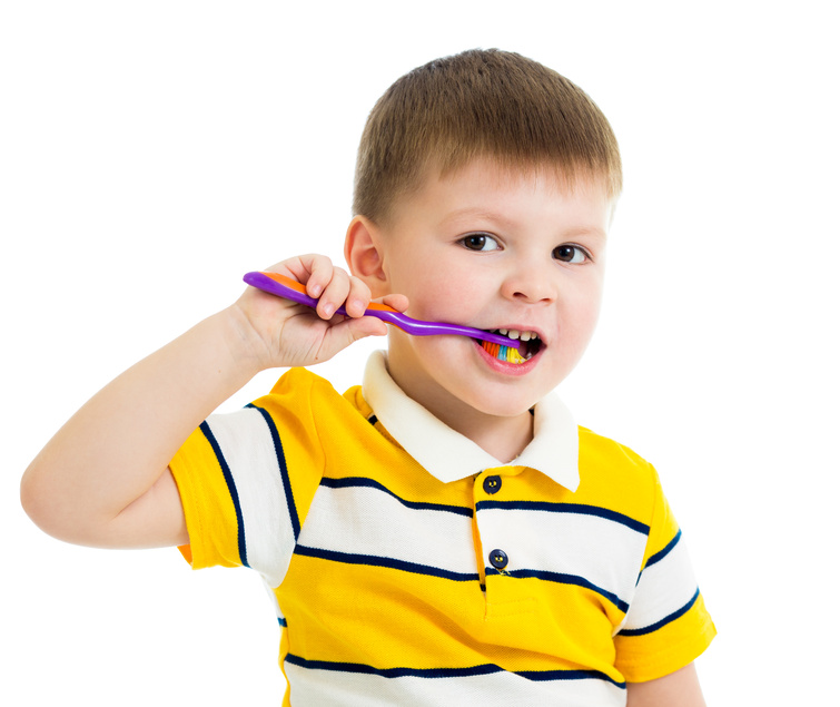 https://s.hdnux.com/photos/01/67/54/75/31379269/3/rawImage.jpg