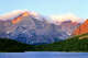 Deadly fungus rears its head at Glacier National Park for the first time