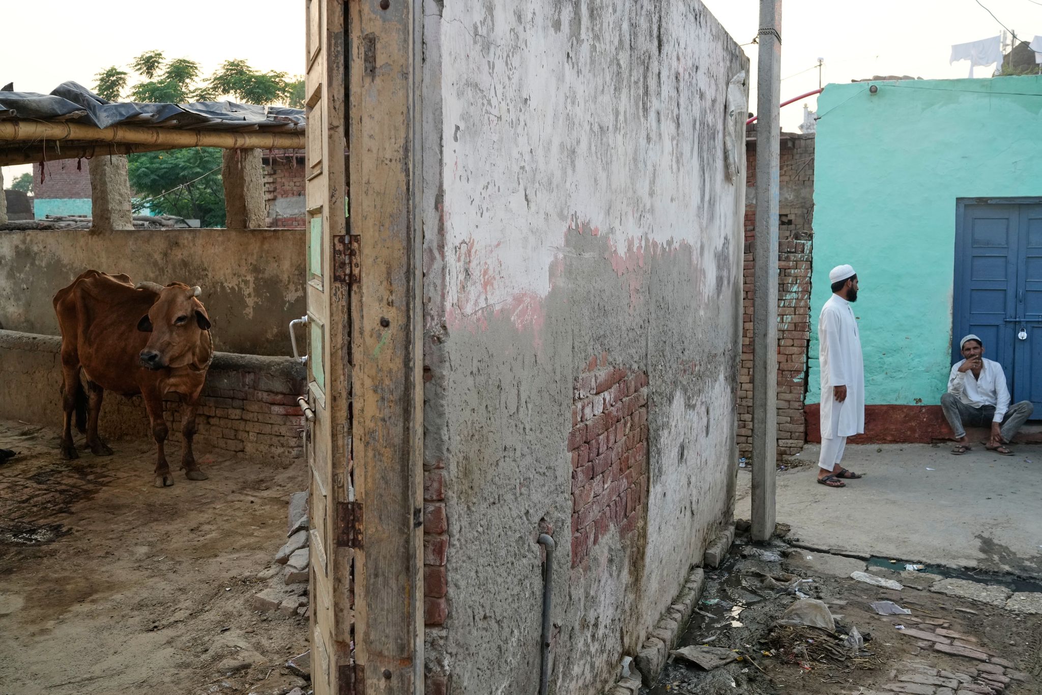 In India, police shootings of alleged cow smugglers raise alarm about ...