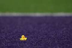 Clare Rivers Comic What are ya — yellow? The rubber duck carries filaments of American ...