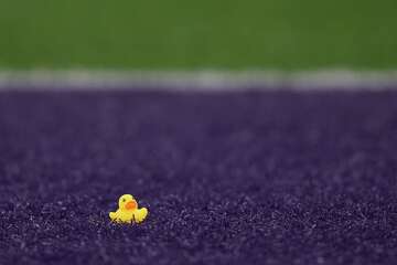 Clare Rivers Comic What are ya — yellow? The rubber duck carries filaments of American ...