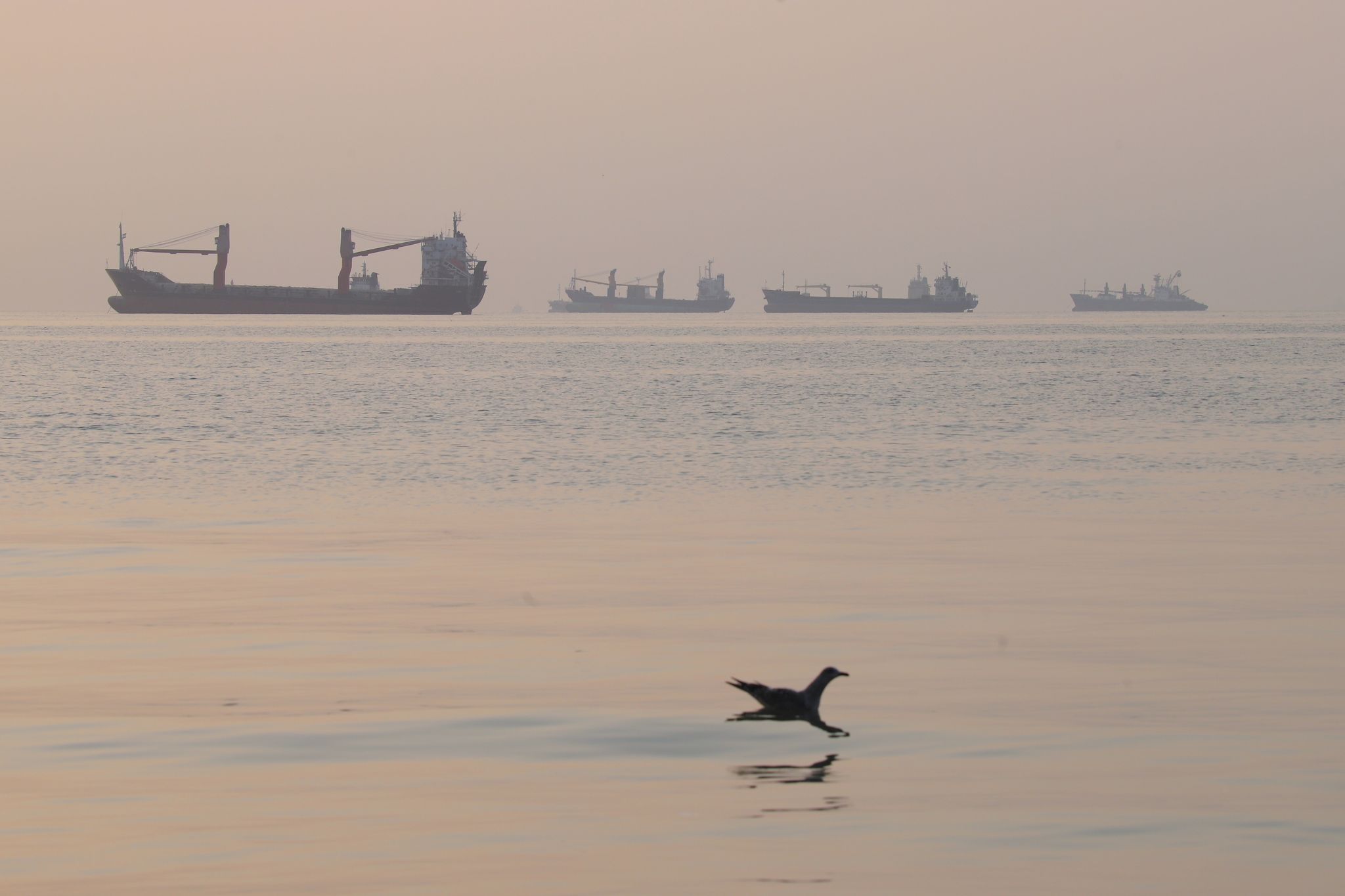 chron.com - The Associated Press - Iran says 3 oil tankers struck mines, and other Mideast news