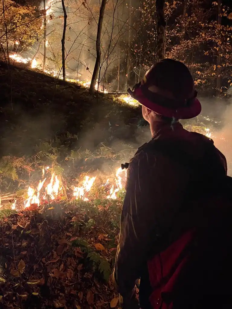 Firefighters and forest rangers worked overnight battling a wildfire that's now consumed 200 acres in Rensselaer County and Massachusetts.