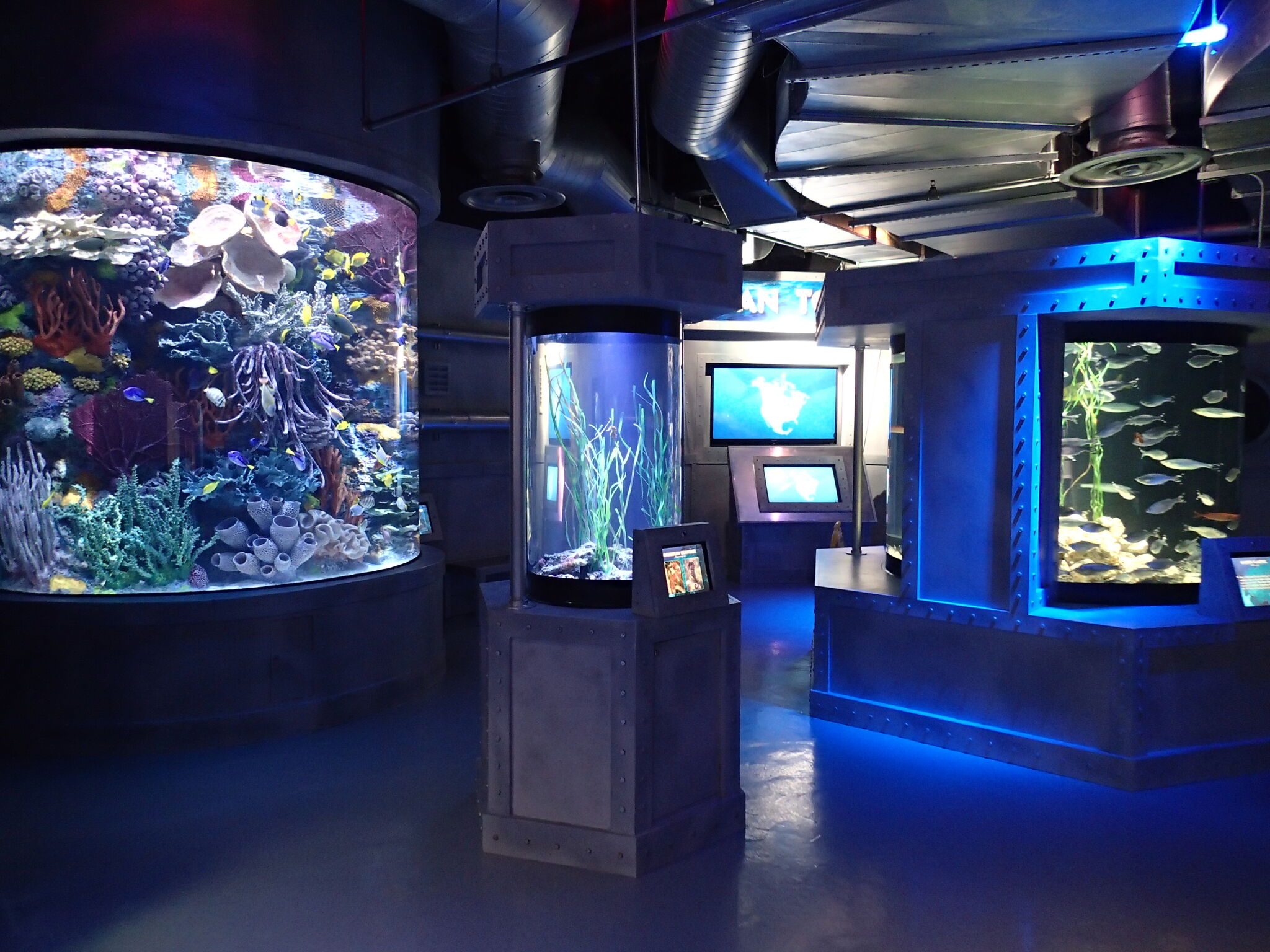 Houston's Downtown Aquarium named No. 2 worst tourist trap in US