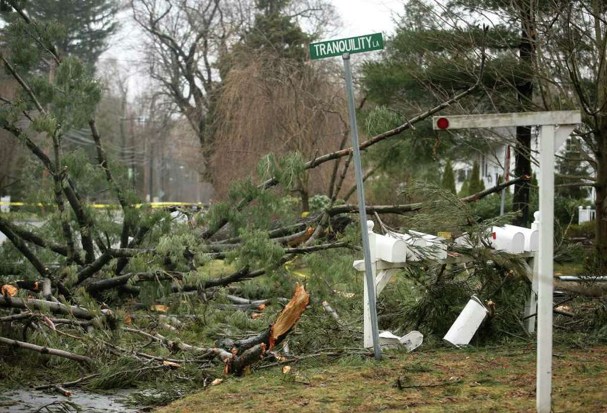The scene on Tranquility Lane in Westport appeared anything but tranquil after trees and power lines were blown down during Saturday night's storm.