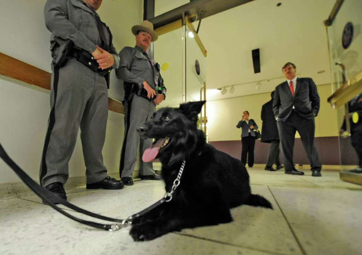 Trooper Jeff Dovigh's canine partner, Matti, takes a brief rest after conducting a search of the Convention Center in the Empire State Plaza in Albany before Gov. Andrew Cuomo makes his first State of the State speech January 5, 2011. (Skip Dickstein / Times Union)