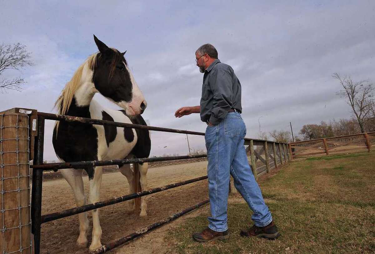 Veterinarian loves work other vets find too large