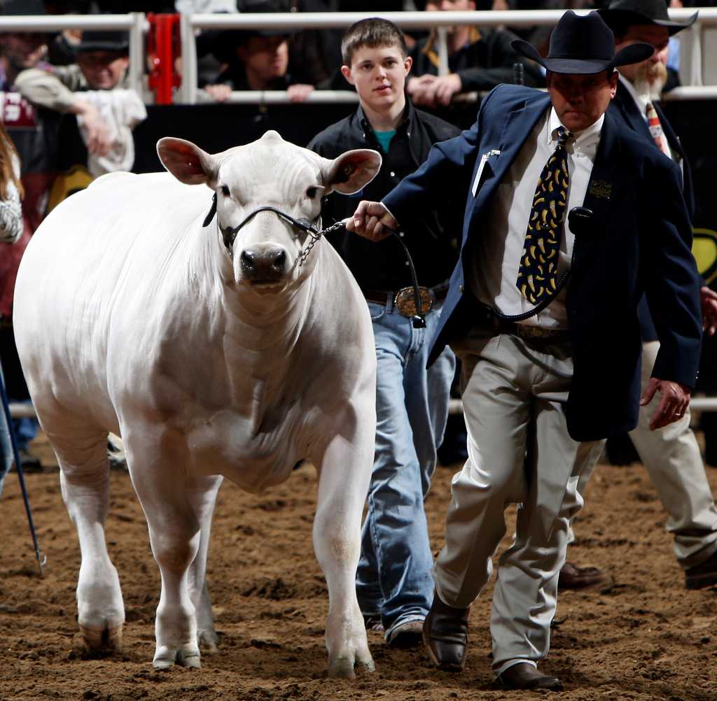 2010 Stock Show