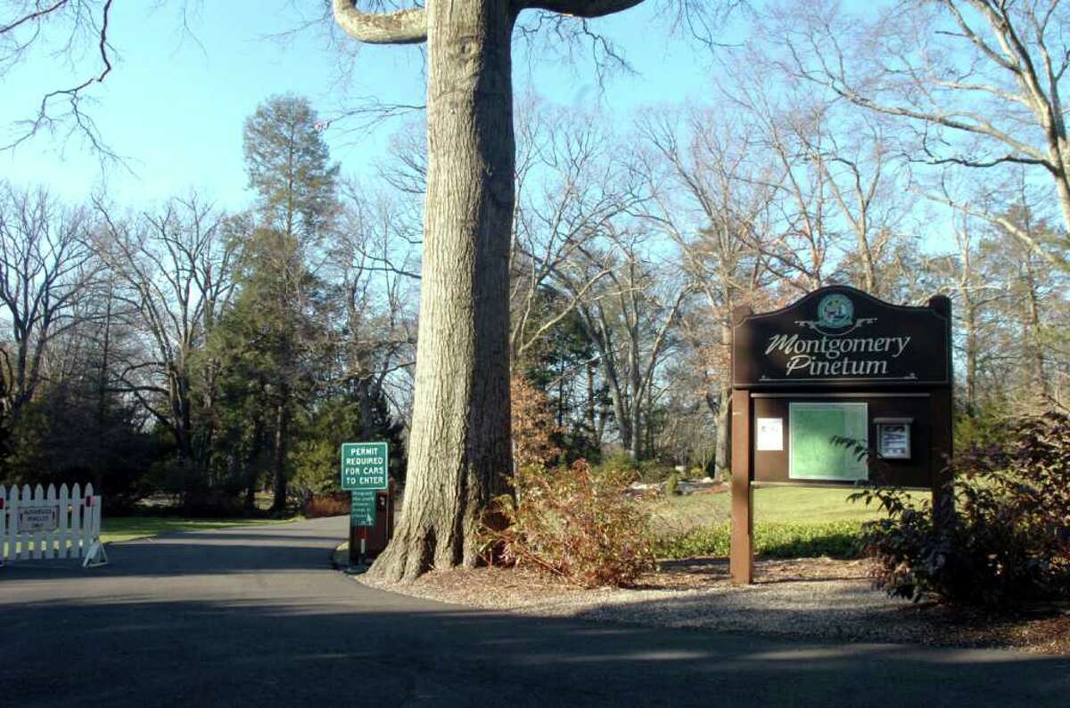 The town has hired a consultant to review its options if a cell tower should be placed in the Montgomery Pinetum, a nature preserve in Cos Cob.