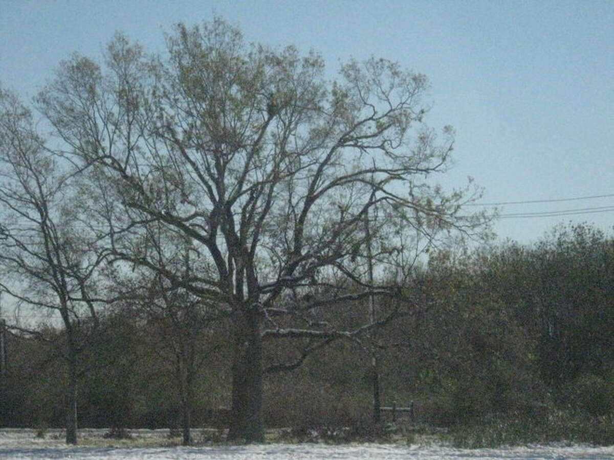 Southeast Texas enjoys, struggles with snow