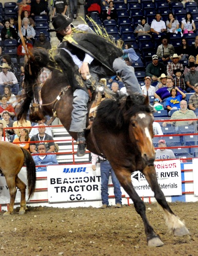 South Texas State Fair Rodeo