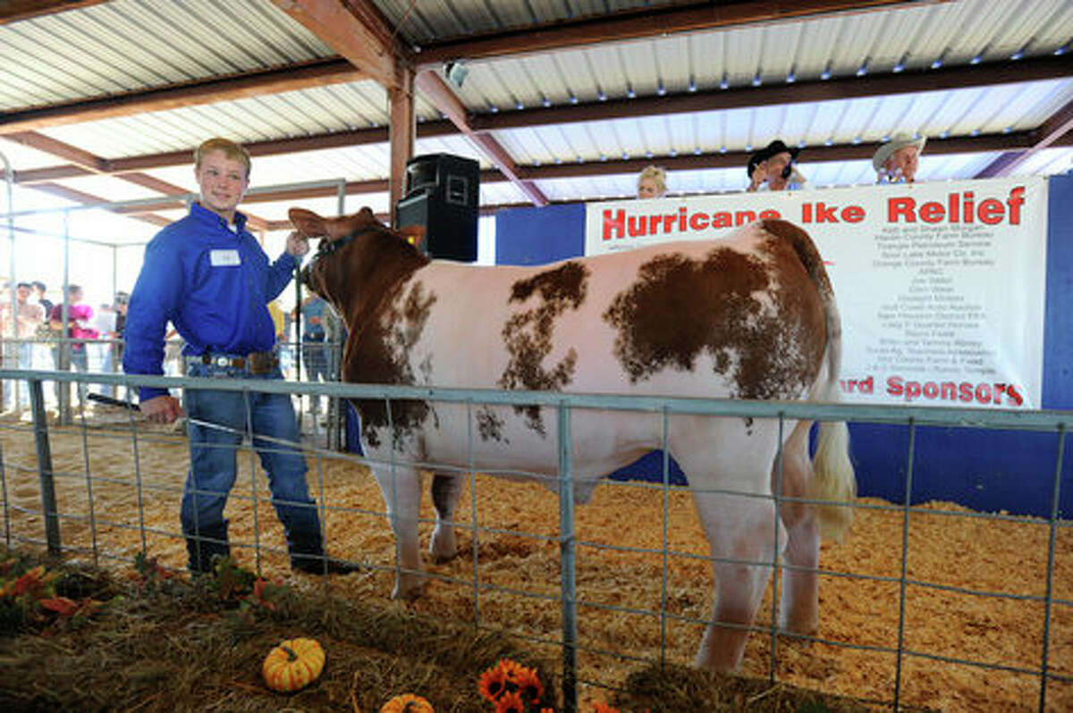 Livestock show photo gallery