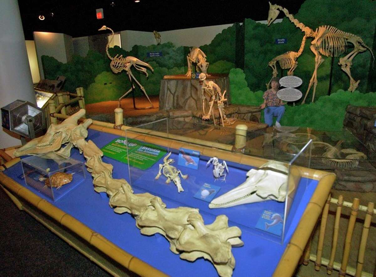 A walking tour of Moody Gardens