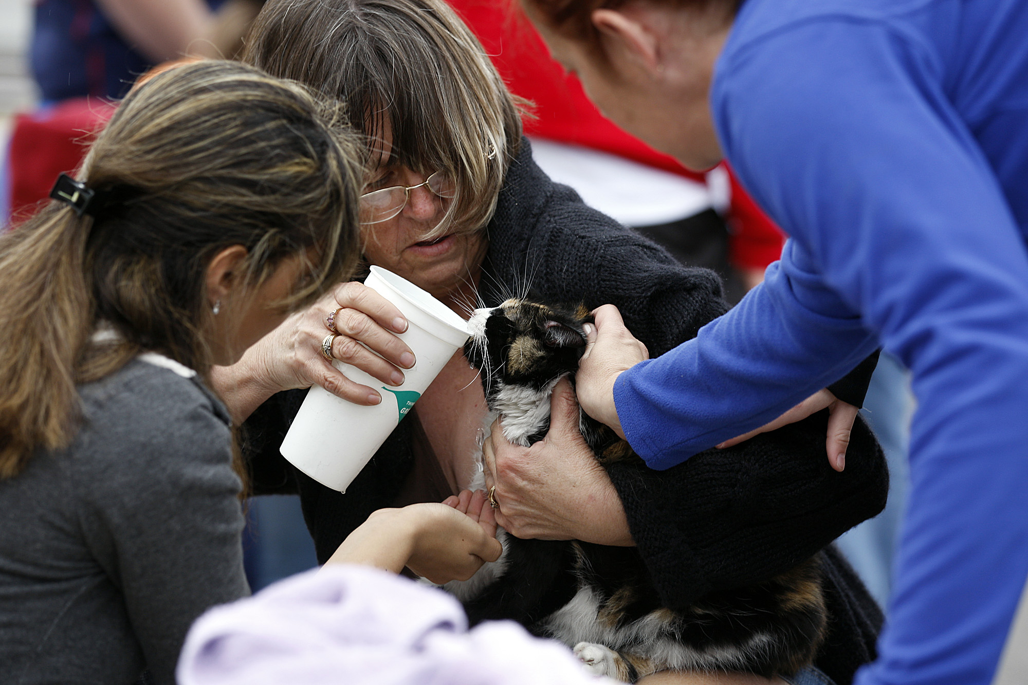 San+Antonio+Firefighters+Save+Cat+from+Nine-Story+Building