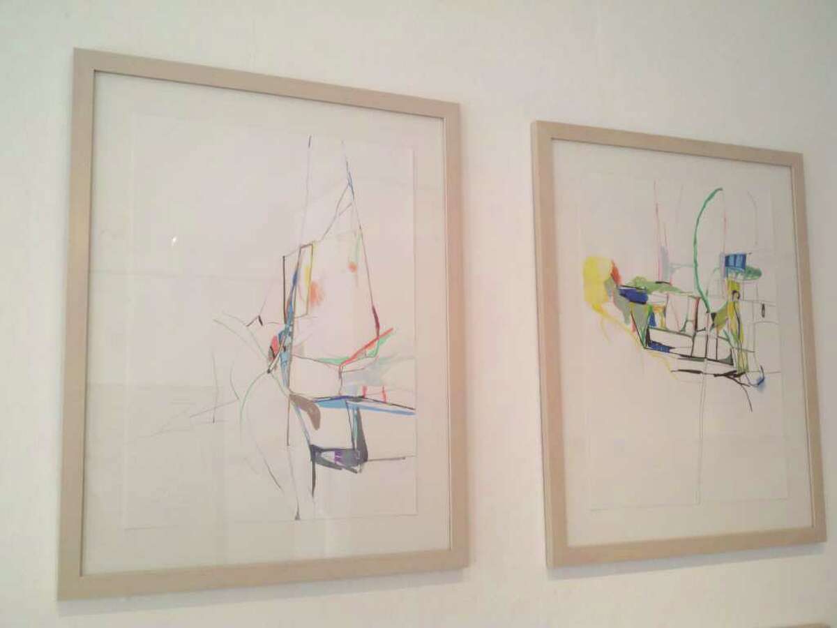 Drawings from "A Cultivated Variety" by Ingrid Ludt. Mixed media on paper. (Michael Janairo / Times Union)