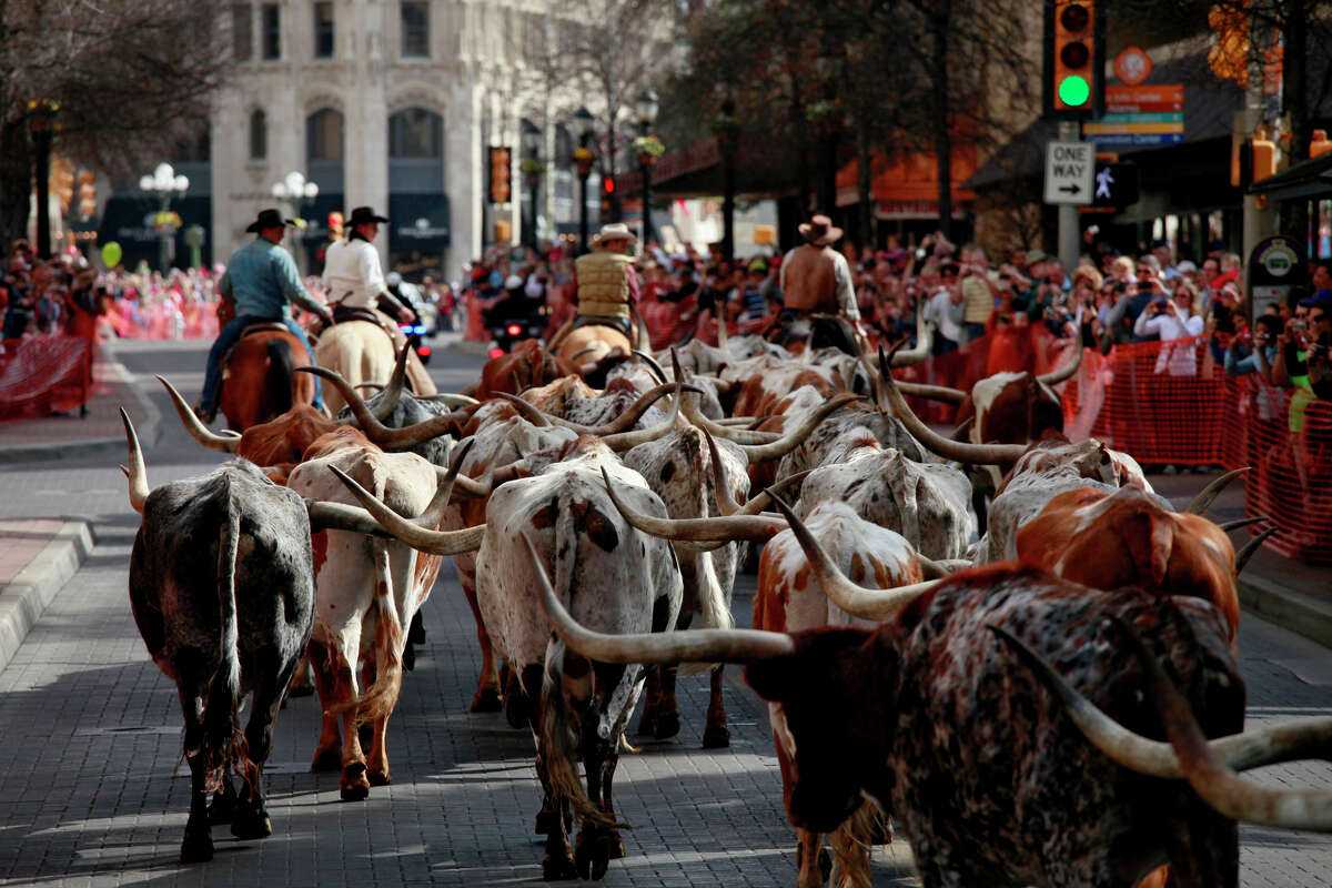 Rodeo Drive' Coming To The Streets Of San Antonio While Residents