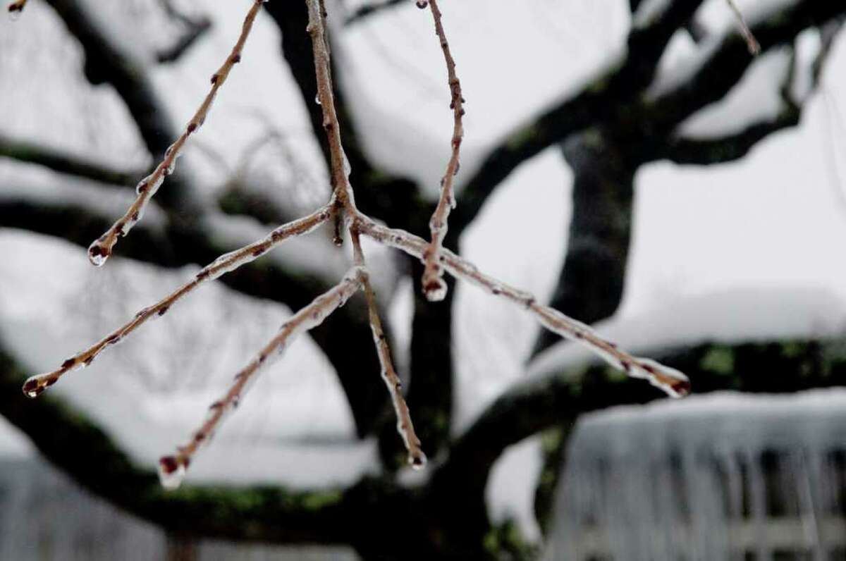 Icestorm in Stamford, Conn., Wednesday February 2, 2011.