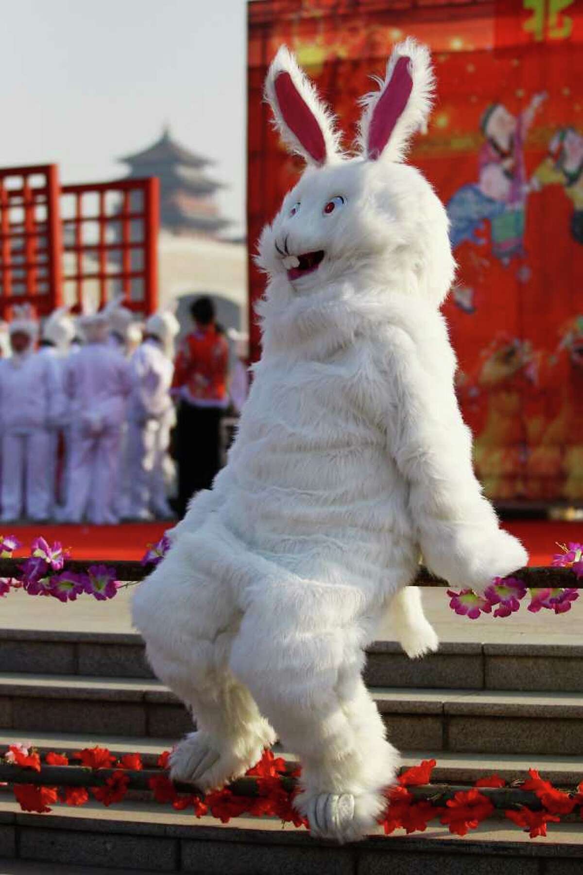 chinese-celebrate-the-year-of-rabbit