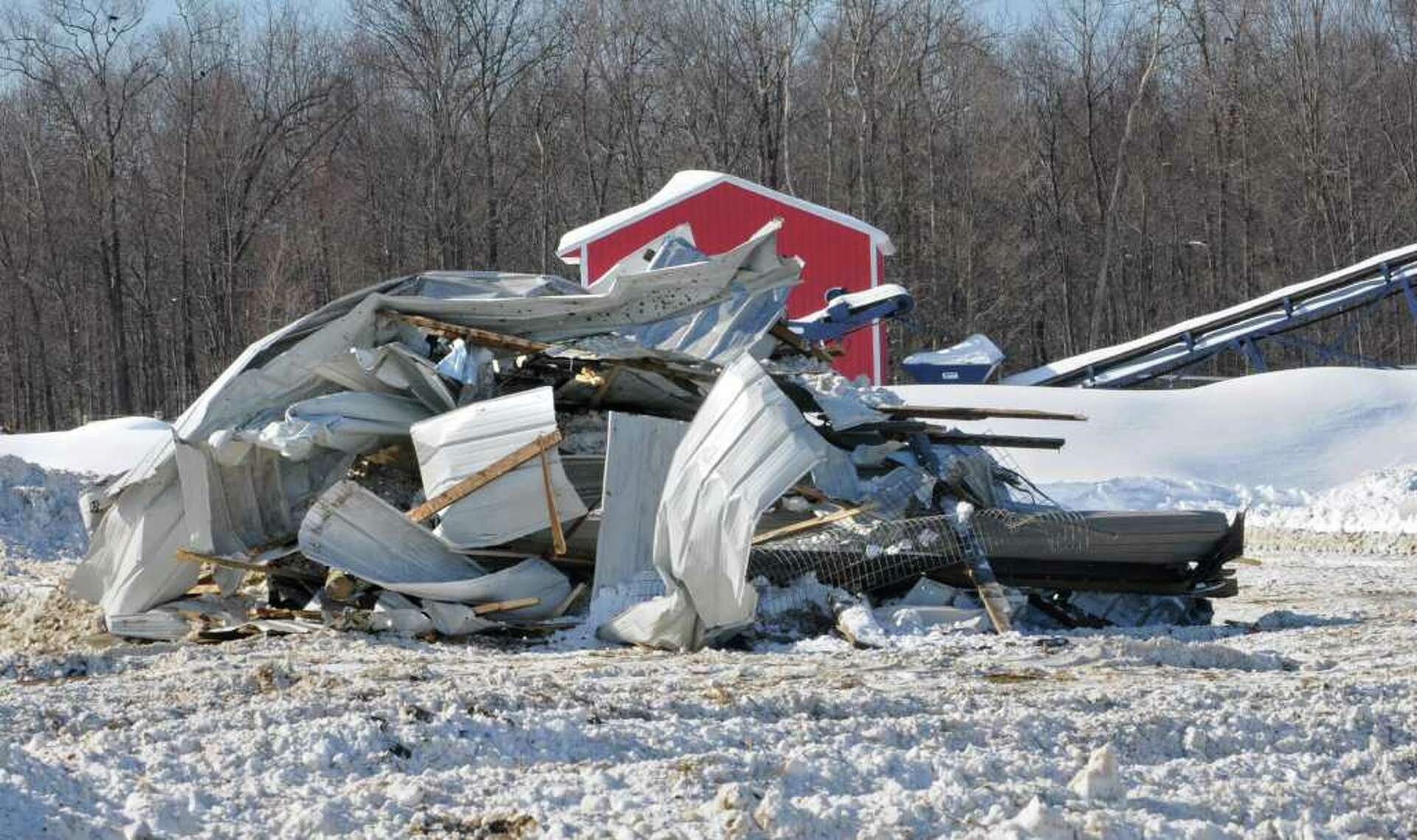 Barn collapse crushes at least 25 cows