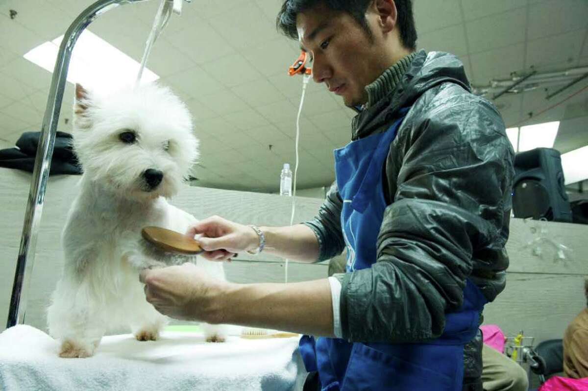 Detailed preparation is key at Westminster