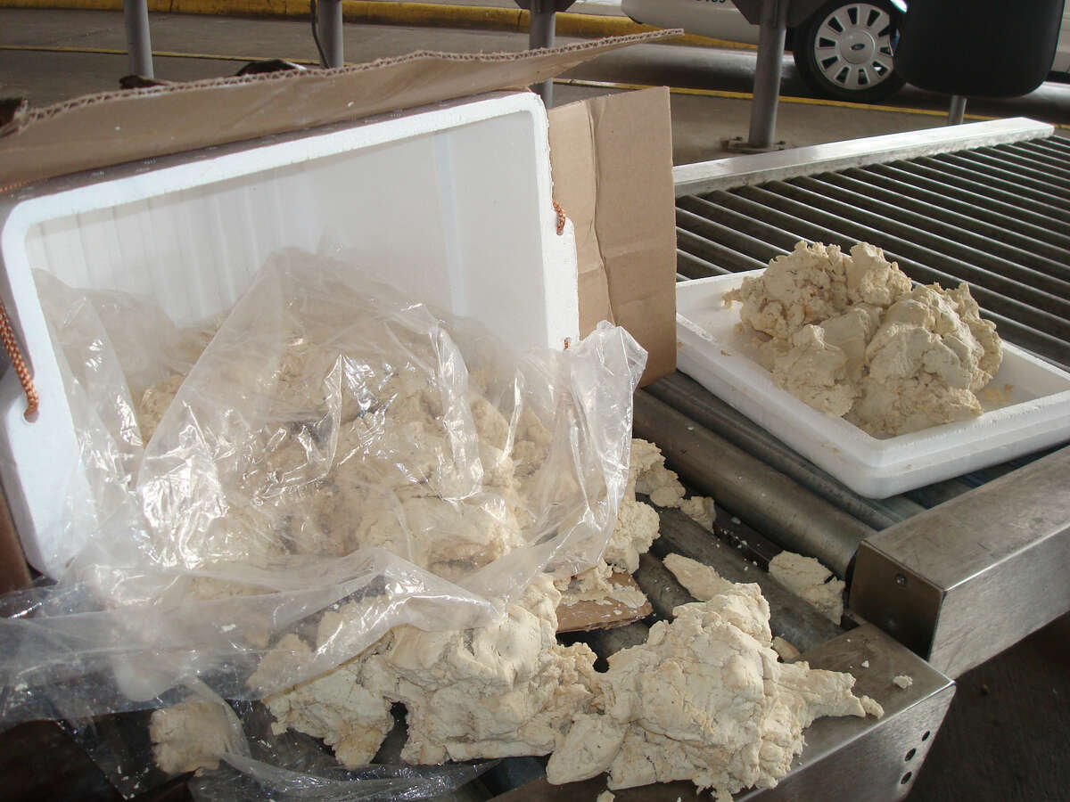 Two ice chests containing 58 pounds of alleged iguana meat were found on a bus from Mexico bound for Texas.