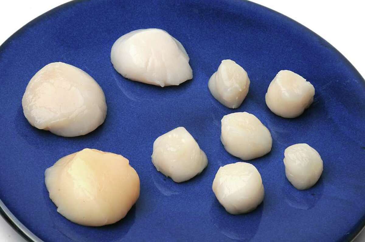 Is It Dangerous To Eat Raw Scallops at Vern Price blog